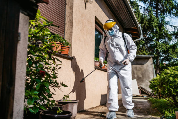 Best Exterminator Services  in Van Vleck, TX