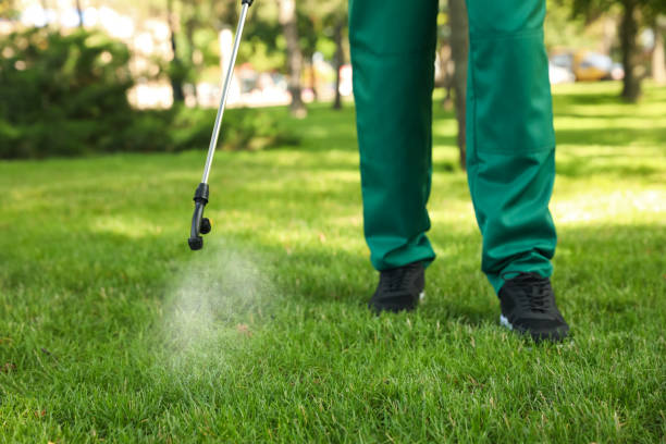 Best Residential Pest Control  in Van Vleck, TX
