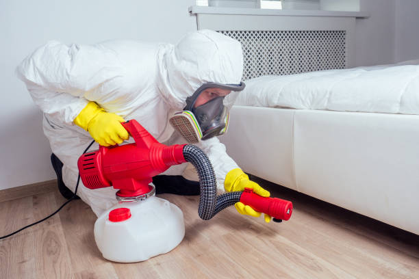 Best Pest Inspection Near Me  in Van Vleck, TX