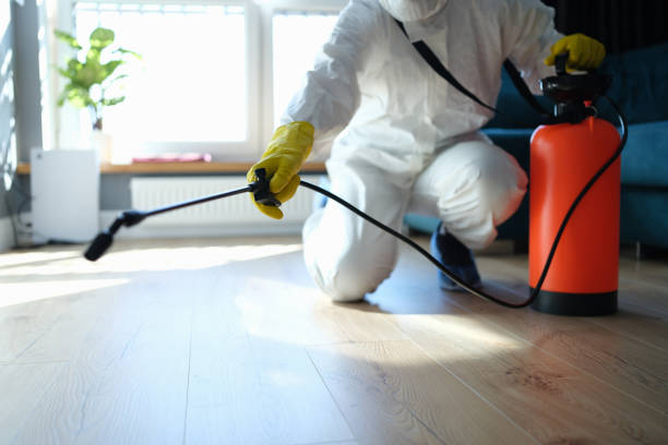 Best Pest Removal Services  in Van Vleck, TX