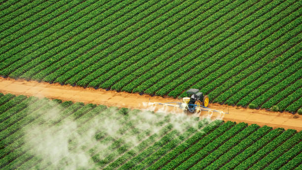 Pest Control for Restaurants in Van Vleck, TX